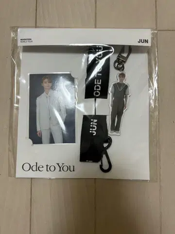 세븐틴 준 Ode to You