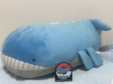 포켓몬 센터 한정판 호엘오 oa 봉제 인형