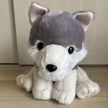 복슬복슬 늑대 모두 친구 포레스