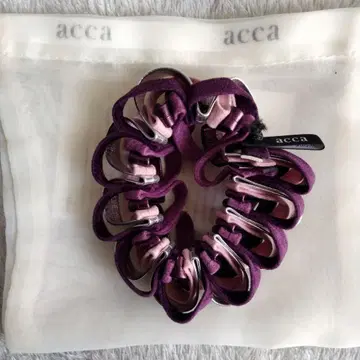acca의 스크런치