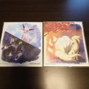 포켓몬 색지art 에브이 & 블래키
