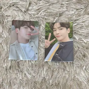 SF9 로운 ROWOON 트레이딩 카드 본국 FC 3기