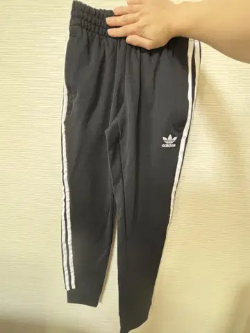 adidas 바지