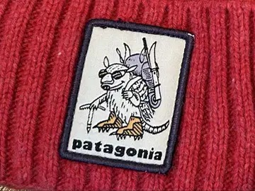 [ 즉시 구매 가능 ] 파타고니아