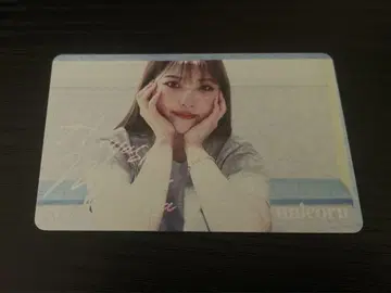 일본 다트 축제 2025 하야시 모모카 다트 라이브 카드 unicorn