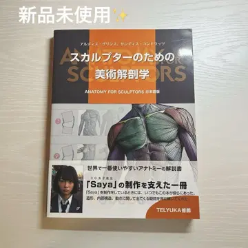 스컬프터를 위한 미술 해부학 신 가격판