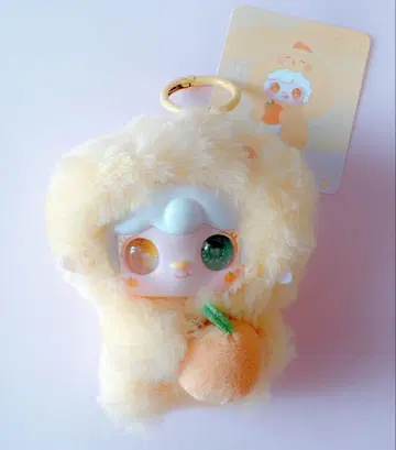 yooki 맛집 레스토랑 오렌지 병아리 오드아이