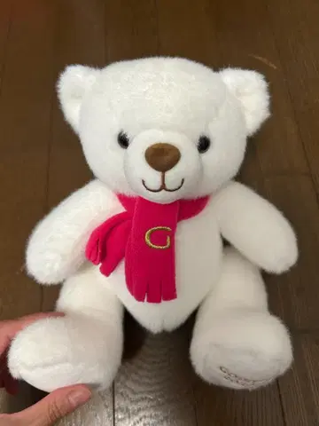 봉제 인형 고디바 테디베어 2024 화이트 테디베어1