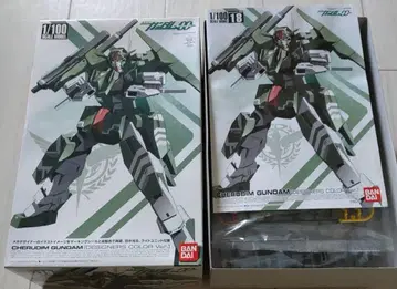 1/100 GN-006 케르딤 건담 [디자이너 컬러 Ver.]