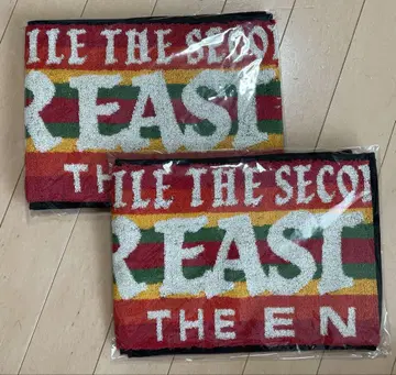 새상품 미개봉 EXILE THE SECOND 머플러 타월