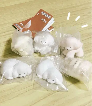 익명 배송 여러가지 강아지 피규어 테라오카 나츠미 가챠가챠 컴플리트