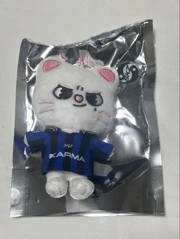 지니 레트 키링
