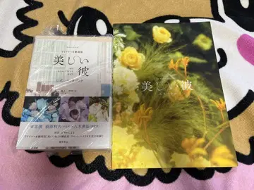 아름다운 그 야기 유세이 하가와리쿠 공식 시나리오북 공식 팜플렛