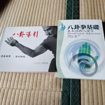 팔괘권 기초와 팔괘도인 허정함 저