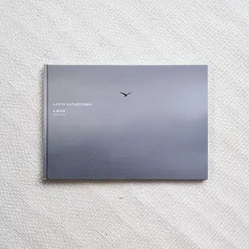 나오야 하타케야마  A BIRD BLAST #130