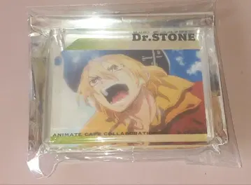 Dr.STONE 애니카페 코롯타 나나미 류스이