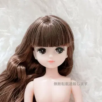 거의 미사용 리카짱 캐슬 오타노시미 인형 키라짱 웨이브
