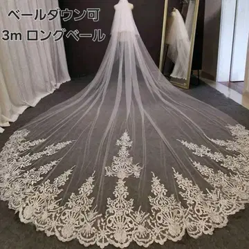 웨딩 롱 베일 3m 브라이덜 베일 빗 포함 화이트 자수 결혼식