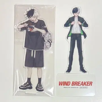 WIND BREAKER 공식 한국판 캐릭터북 특장판 특전 벚꽃 하루카