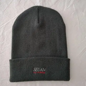 SEDAN ALL-PURPOSE Tech Logo 비니 그레이