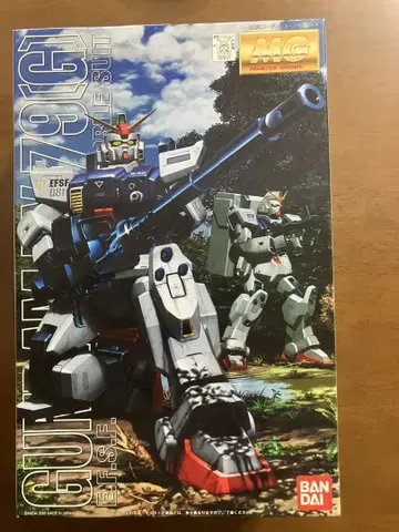 MG RX-79(G) 건담 프라모델