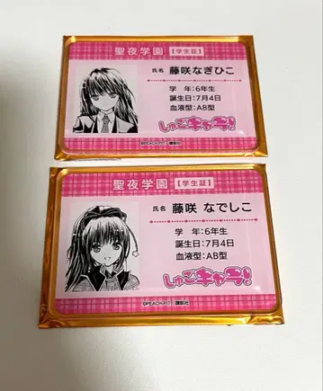 수호캐릭터 후지사키 나데시코 후지사키 나기히코 팝업 학생증풍 아크릴 카드
