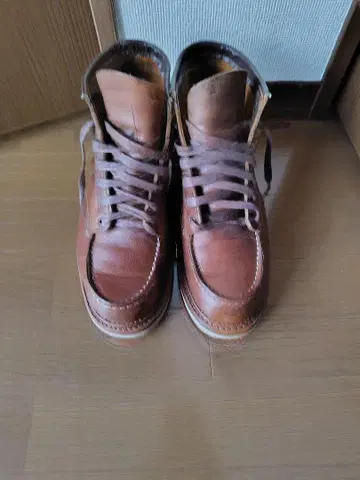 레드윙 1907