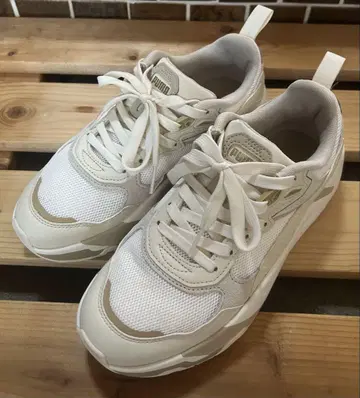 PUMA 베이지 스니커즈 24cm 박스 없음