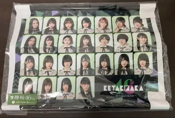 케야키자카46 멤버 사진 A3 태피스트리 와타나베 리사 외 미사용품