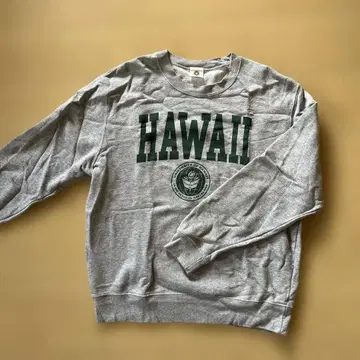 University of Hawaii 그레이 트레이닝복 사이즈F
