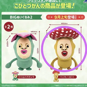 코비토즈칸 BIG 봉제 인형 베니키노코비토
