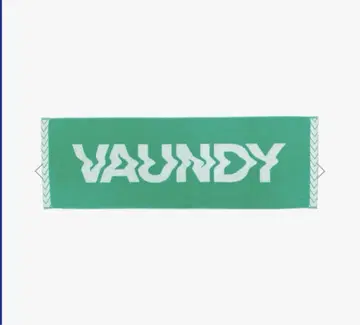 Vaundy 바운디 타월 라이브 굿즈