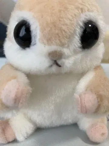 모몽가다몽 ST 모모마루