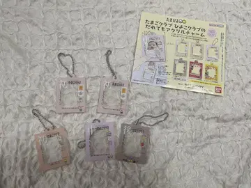 타마고 클럽 사진 액자 5개 세트