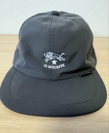 IL BISONTE x Mizuno 고어텍스 캡