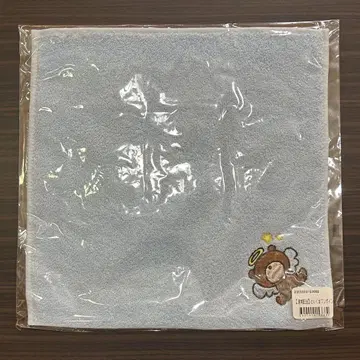 카토 시호