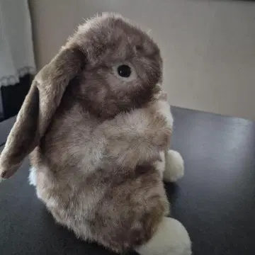 토끼 봉제 인형 브라운과 화이트