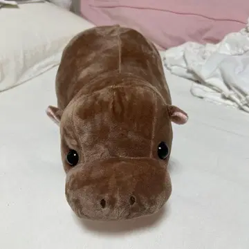 꼬마하마 히포퐁