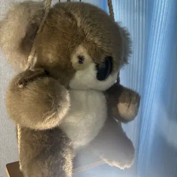쇼와 레트로 블랑코, 코알라 조이풀 메이트 주식회사 죽순 레어템