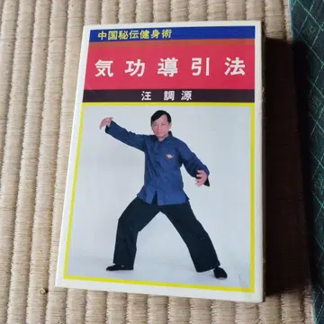 기공도인법 왕현원 저