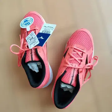 Mizuno 트레디셔널 로드 13 26.0 오렌지