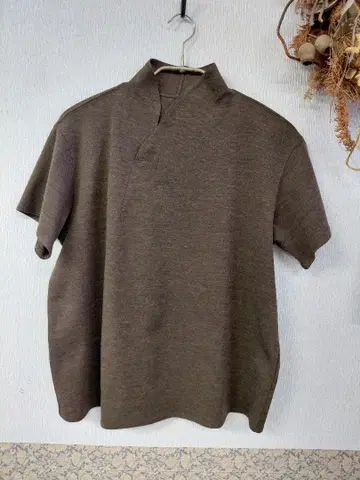 요건 레일 토츠프스 브라운