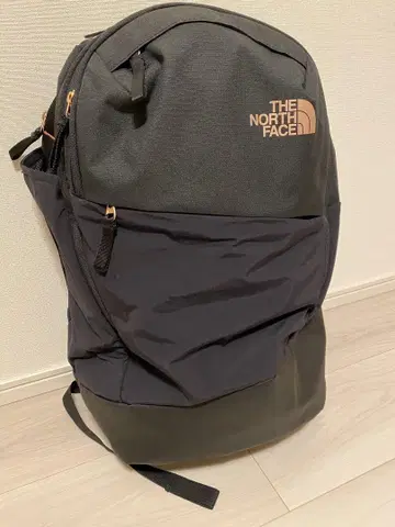THE NORTH FACE 여성용 이사벨라 3.0 백팩