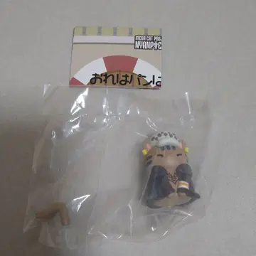 원피스 냥피스
