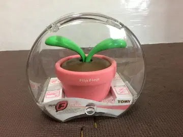 플립 플랩 코랄 핑크 타미힐피거