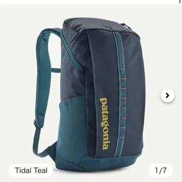 파타고니아 블랙홀 팩 25L Tidal Teal 몇 번 사용