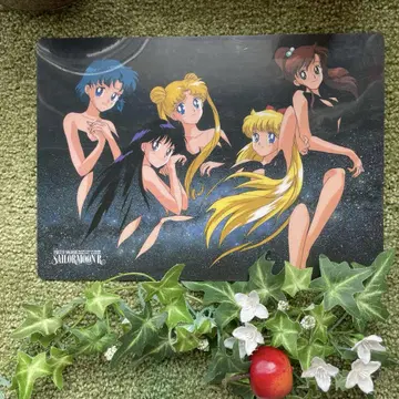 세일러문 R 책받침 당시