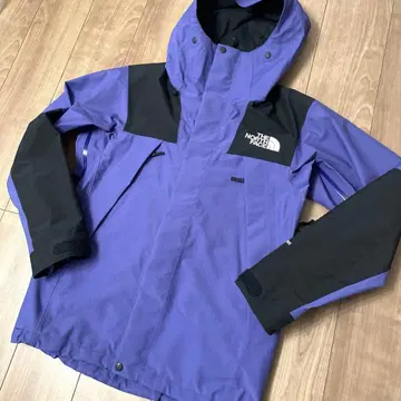 THE NORTH FACE NP61800 마운틴 후드티 M