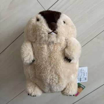 마모트의 모토토토 컴팩트 점보 봉제 인형
