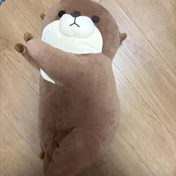 축 늘어지는 해달